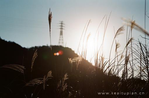 2021搞笑另类的个性签名,另类句子