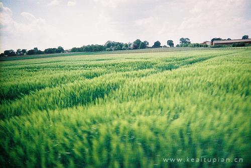 八字短句系列愿你喜.