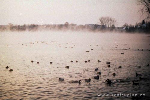 一路飘泊感慨散文