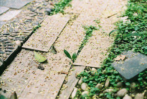 原来爱情不需要结局