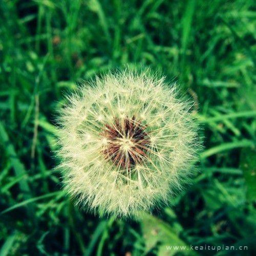 曹盛蒂的超霸语录