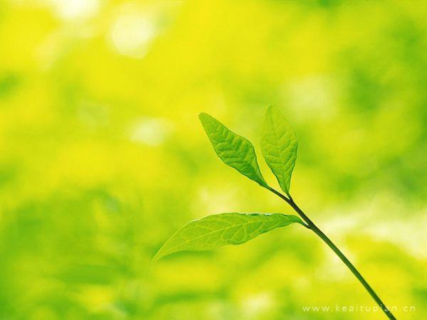 老师，不是我干的