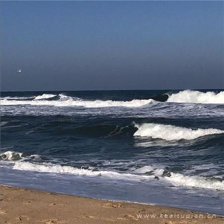 诡异幻想之谁是凶手