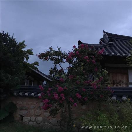 中了你那情花毒