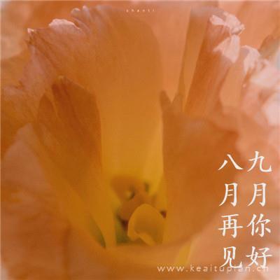 感情中，最伤人的态度是这种