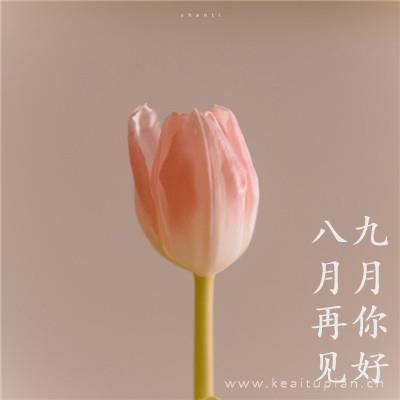 鬼画异事