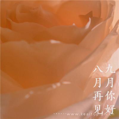 你是我一辈子依靠的山