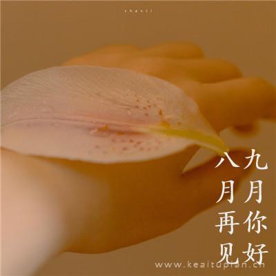 寄来的纸钱