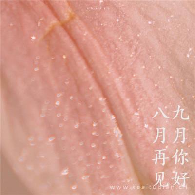 秋菊之恋