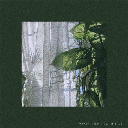 你没经历的，就别劝我大度。