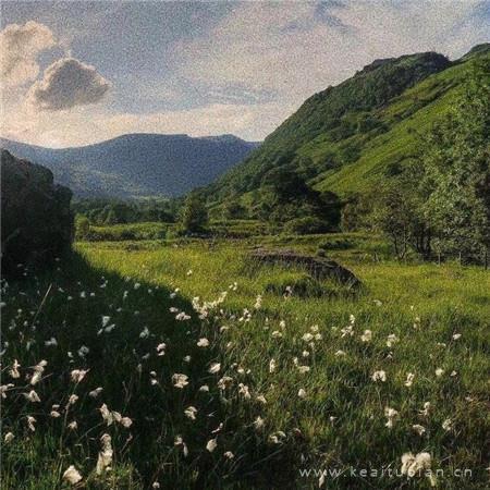 原来伤害，是为了爱