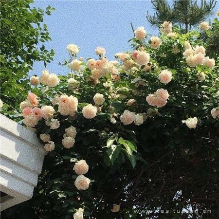 后车座的疯狂 教授不要太深了h