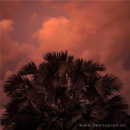 只有亲情才是永远不变的