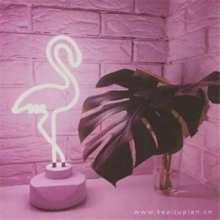 裸婚时代经典台词，裸婚时代台词