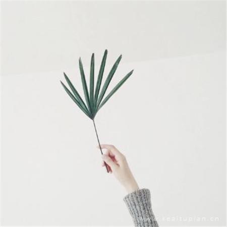 一个笑着哭过的爱情故事