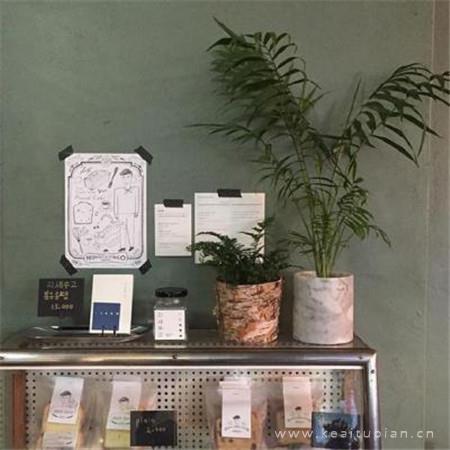 毕业就去当网红？先听听8位95后网红的口述