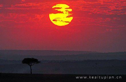 盛夏光年，遇见离殇