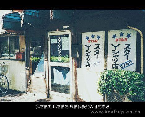 买车惊魂