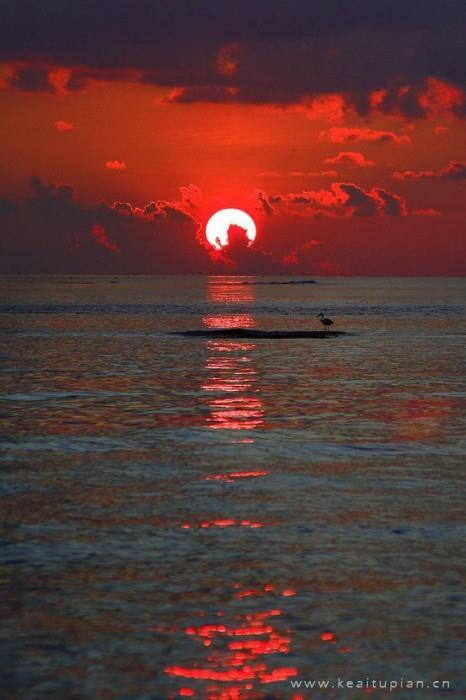 在错过中珍惜;在经历中懂得。