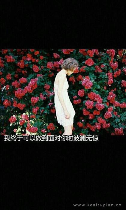 纸上的爱情