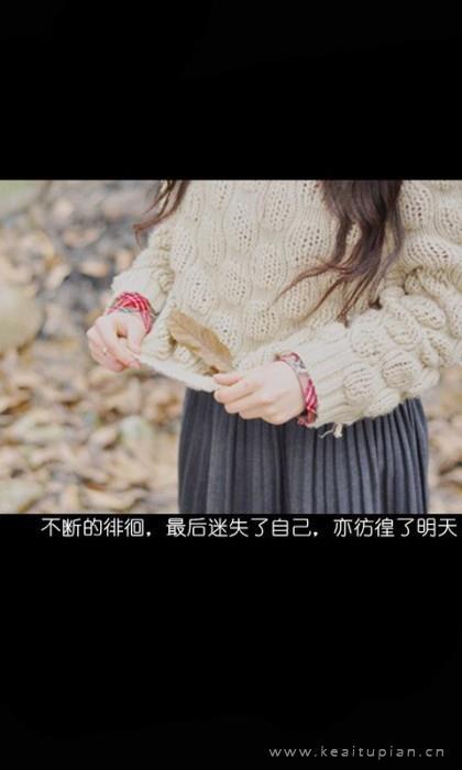 歌颂友情的诗词名句_友情短句