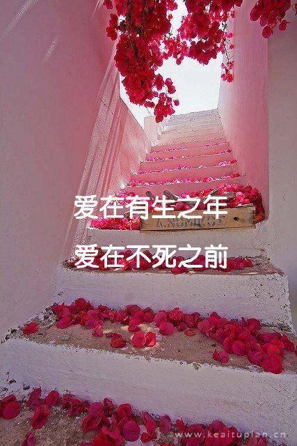 毕业凋零抒情散文