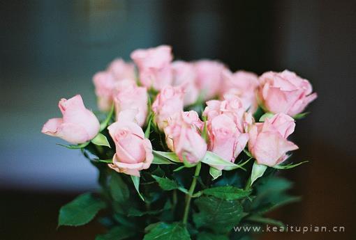 活着，爱着··在每一天