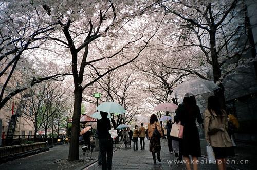 撩人又暖心的晚安短语，晚安语录