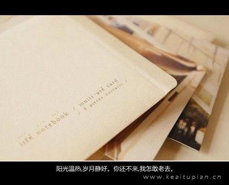 以爱之名的你