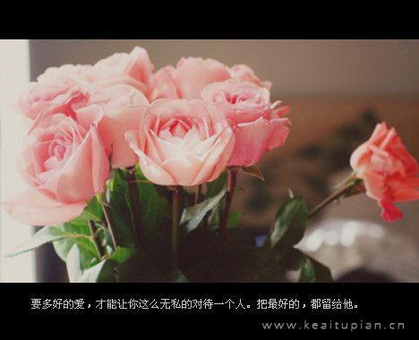 风中，那孤寂的缠绵