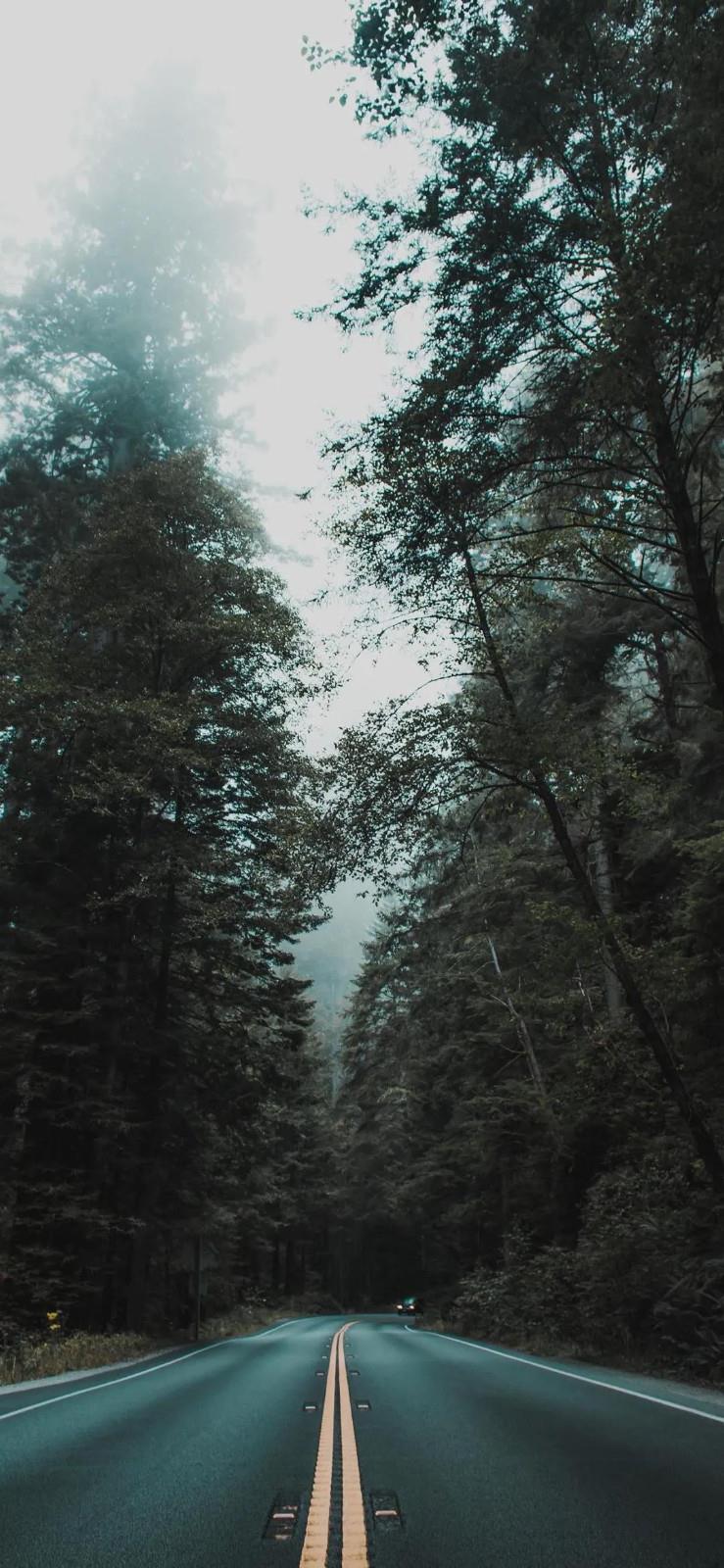 空山新雨后