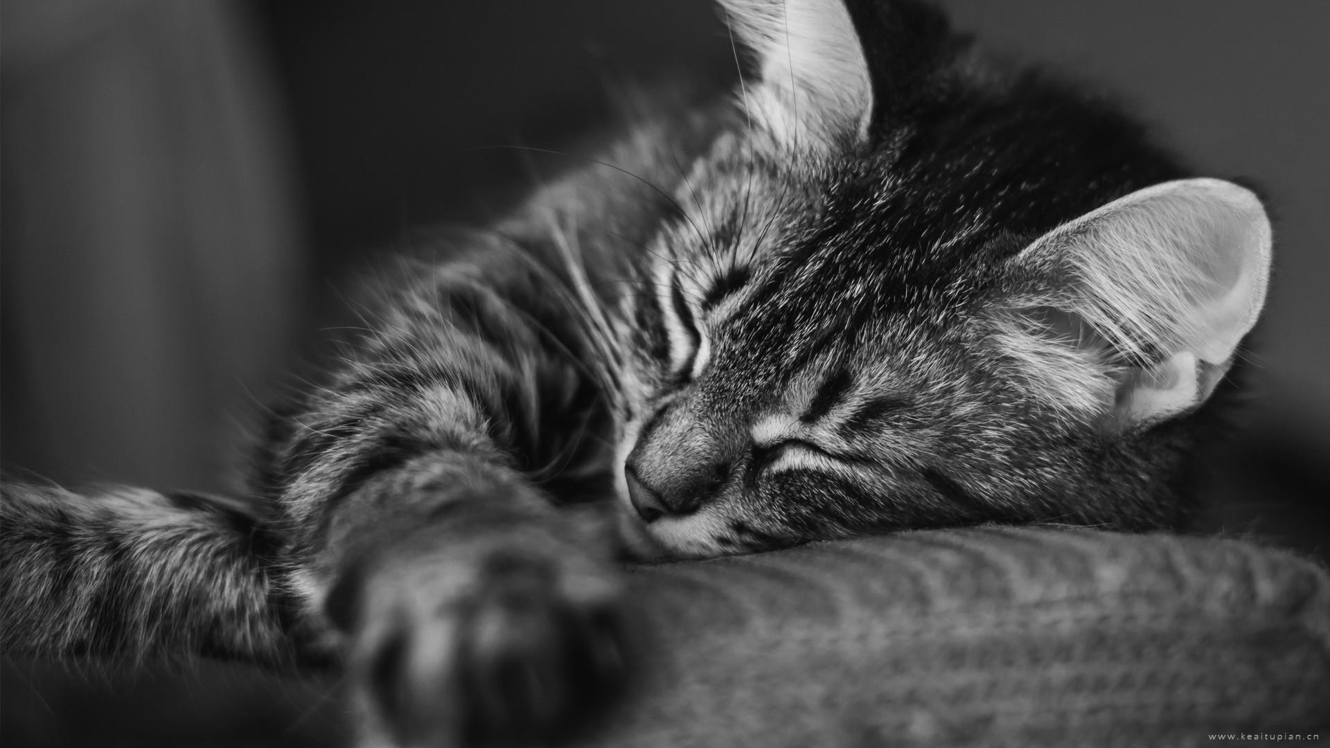 100句张小娴经典爱情语录