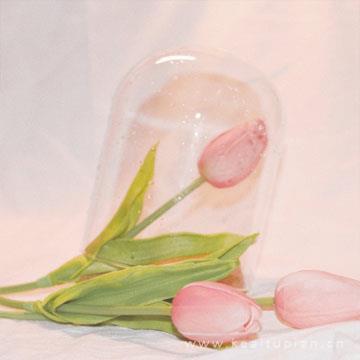 晚上这里是我的哦！