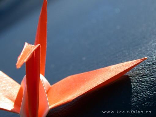 人生必须有一个正确的方向