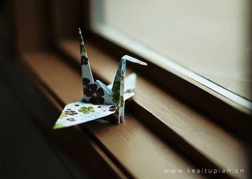 掌上开花