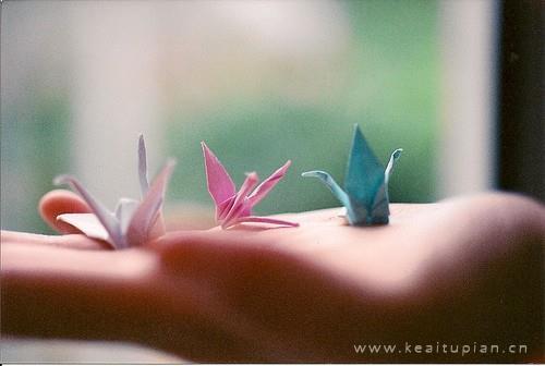 乡愁是什么永远散发着温情