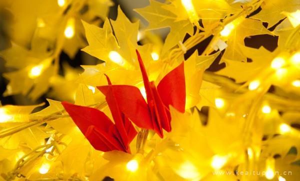 初夏的梅子坝散文