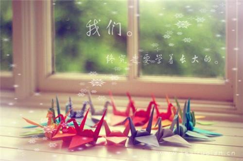 鸿运国际