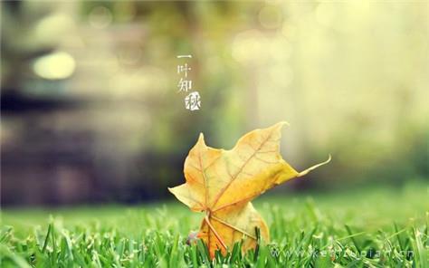 你是我的兄弟