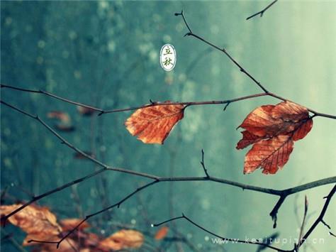 “读书其实没有什么用”,真的吗?