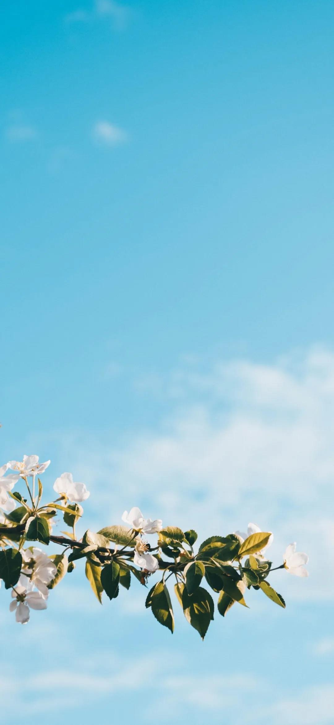 回首时,那一抹暖和的打动