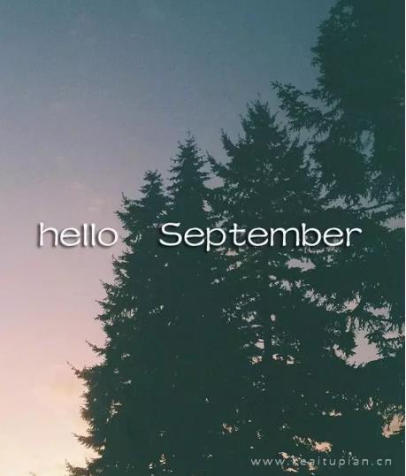 属于生命的色彩,总有着温暖的美好