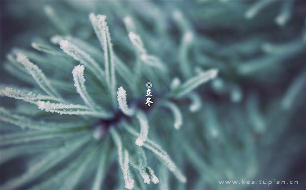 遗憾终生的爱_1