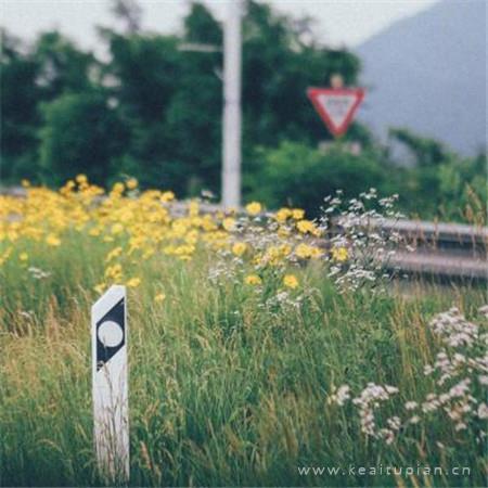 刺激的乱亲小说 离婚了天天跑去日前妻