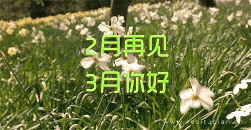 寄来的纸钱