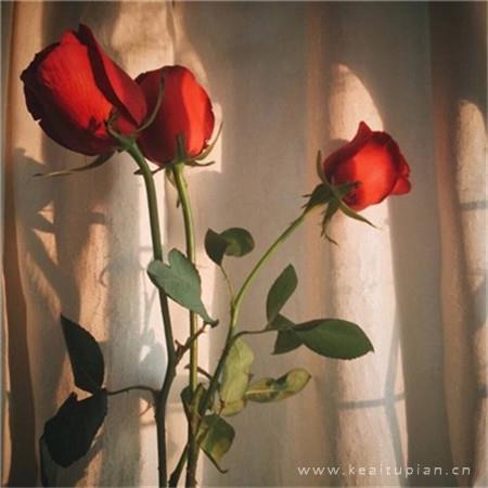 珍惜生命的名言100句/珍惜句子