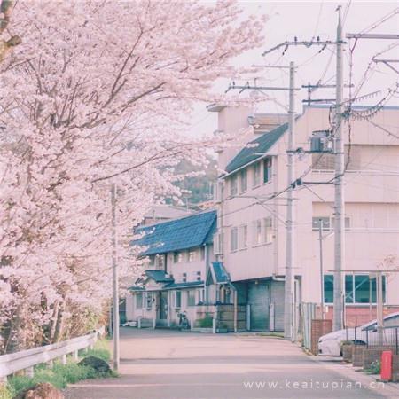 100句简单快乐的心态句子:简单短句