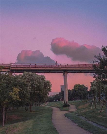 纵有疾风起，人生不言弃。