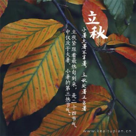 超搞笑!09年最新雷死人的几句话~