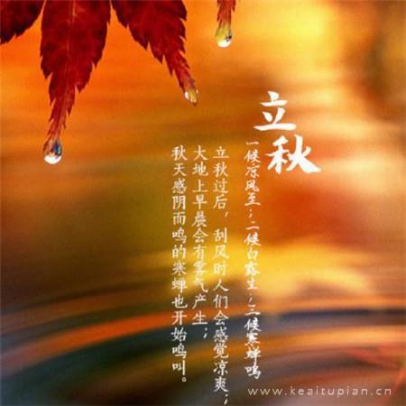 妈妈不在家